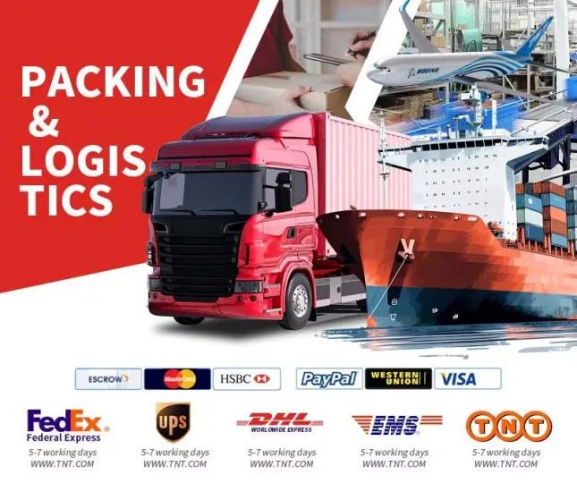 Icons representing global logistics and secure payment methods