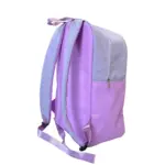 Colorblock Backpack