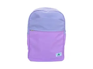 Colorblock Backpack