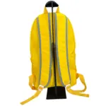 حقيبة ظهر بسيطة